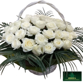 Korzina-white