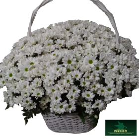 korzina-white-2